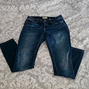 Buckle Payton skinny jean